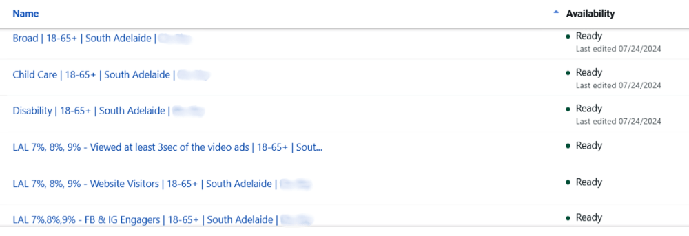 sample audience targeting - meta ads tools