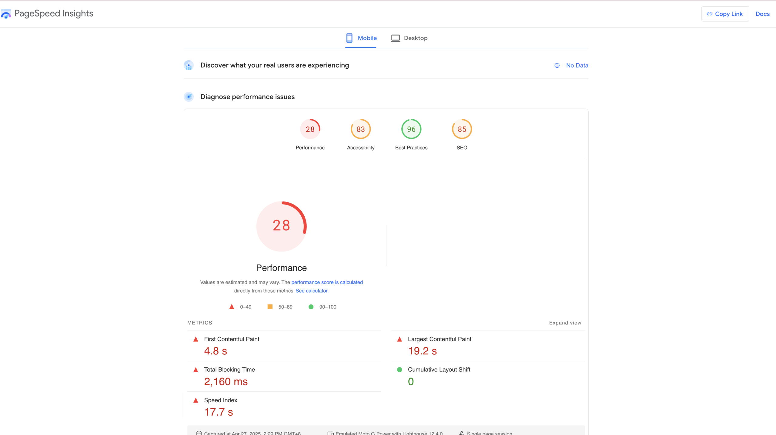 Example of a PageSpeed Insights Performance Result